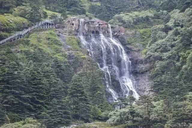 狂野的飙客